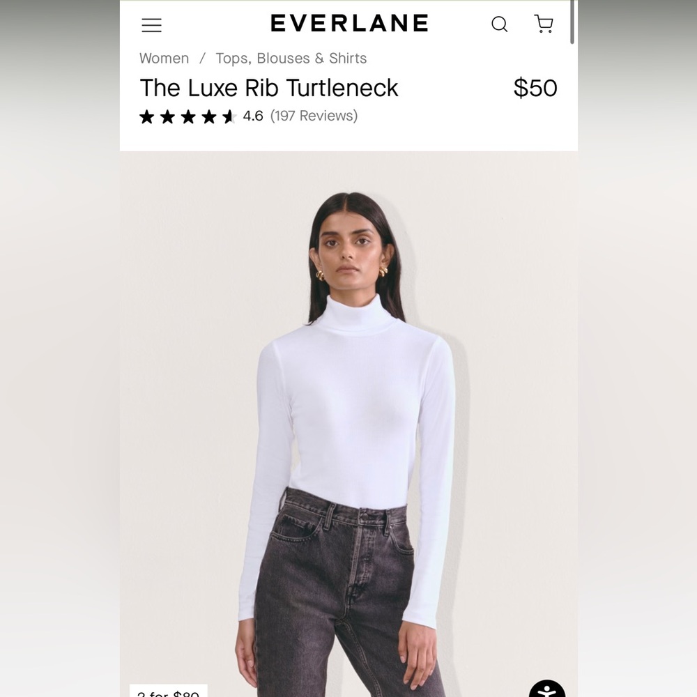 Everlane Turtleneck